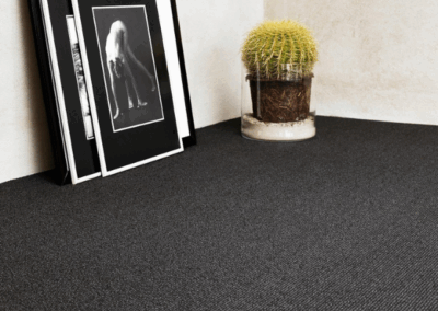 Flot mørkt gulvtæppe med plante og billedramme placeret i hjørnet